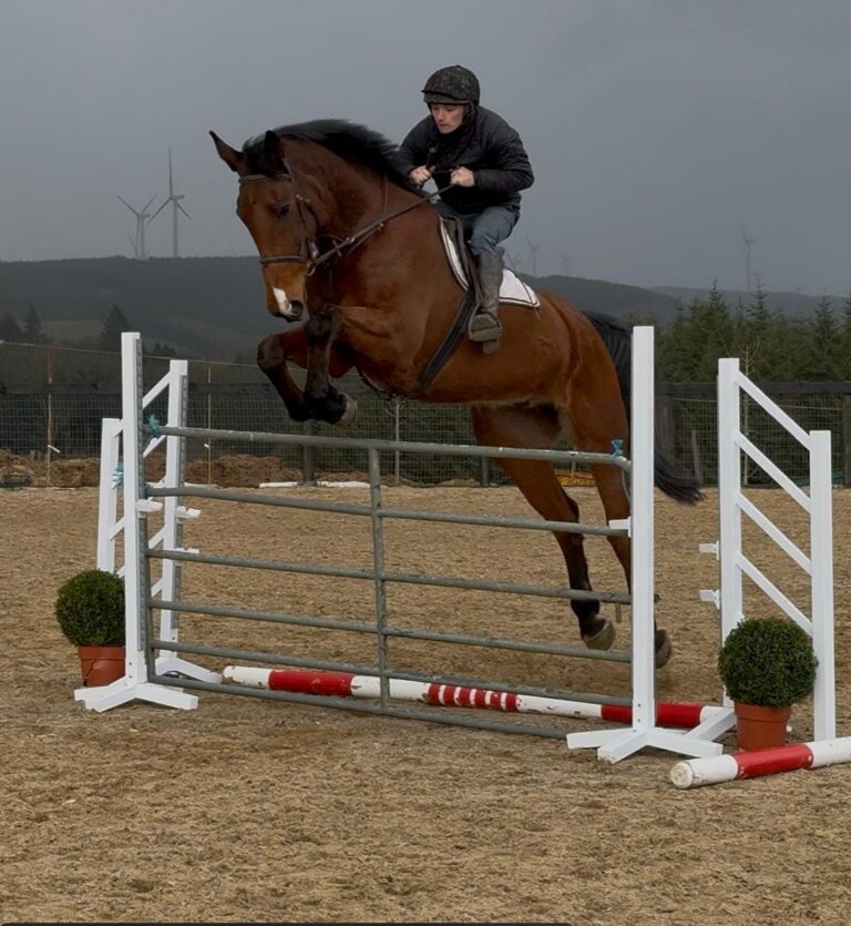 792ba412-d5c5-4701-8f1e-78c101ce0174