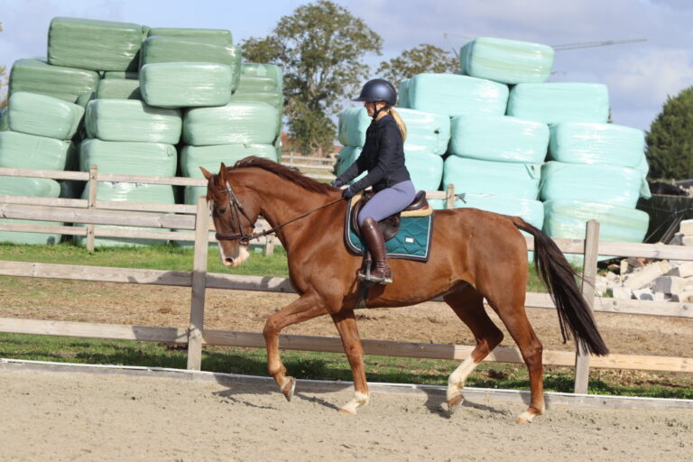 IMG_5051